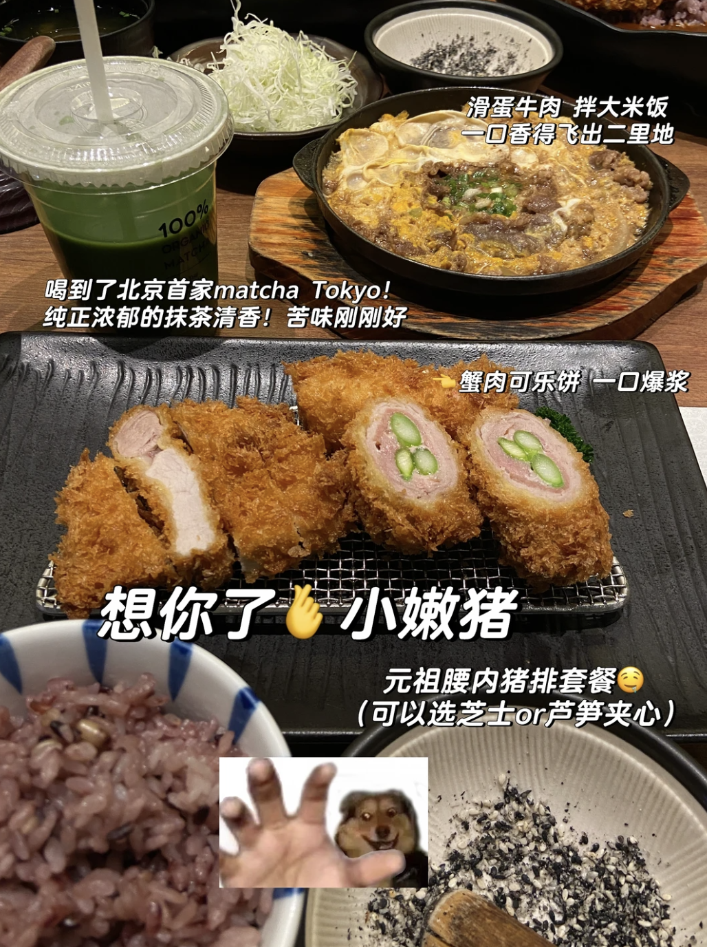 散步